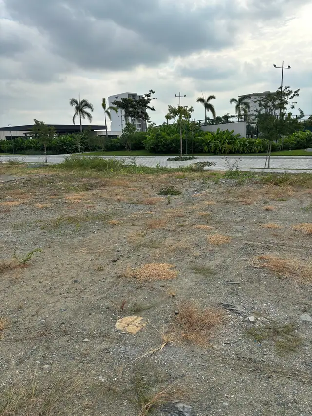 Terreno en Nueva Urbanización en Isla Mocolí, foto 5