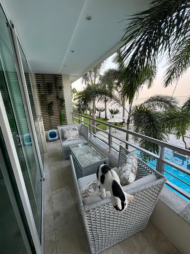 Departamento con Vista Al Río Desde Todas Las Áreas!