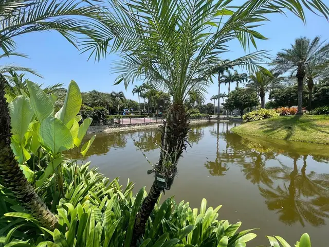 Casa del Lujo Al Lago en Punta Mocolí, foto 4
