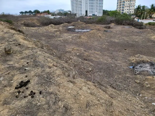 1000 m² Terreno en Loma de Punta Blanca a Pocos Pasos del Mar!, foto 5