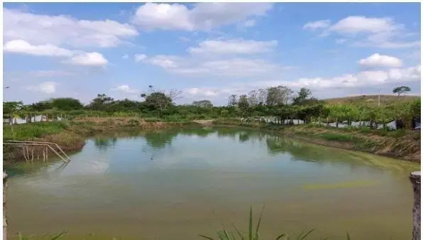 Limonera Hacienda Tecnificada de 22has en Venta en Sur de Pedro Carbo, foto 2