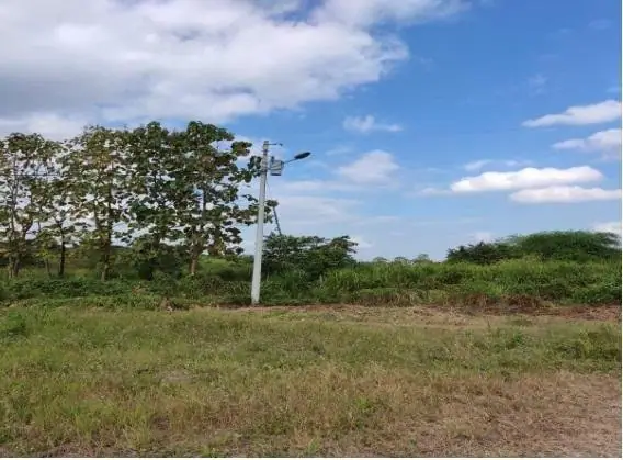 Limonera Hacienda Tecnificada de 22has en Venta en Sur de Pedro Carbo, foto 4