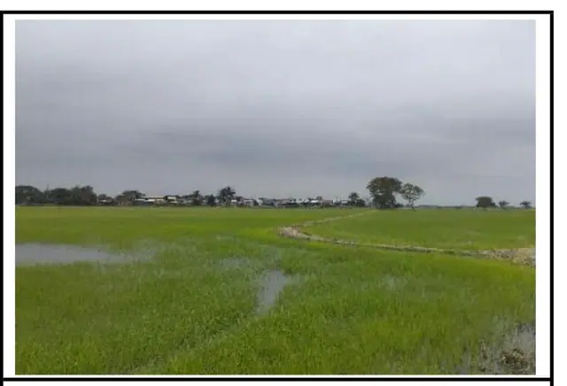 Terreno de 40.000 m² en Venta en Samborondón, foto 2