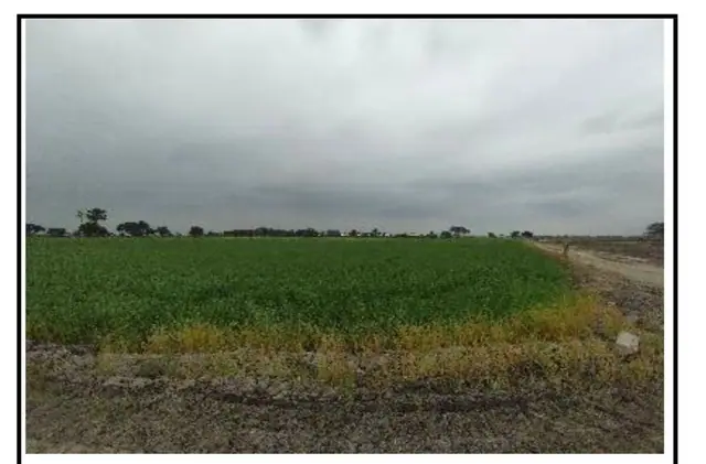 Terreno de 40.000 m² en Venta en Samborondón, foto 3