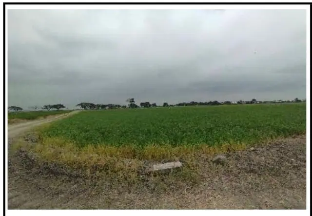 Terreno de 40.000 m² en Venta en Samborondón, foto 4