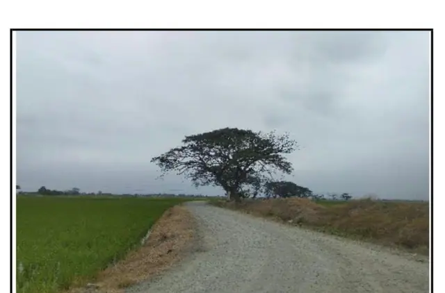 Terreno de 40.000 m² en Venta en Samborondón, foto 5
